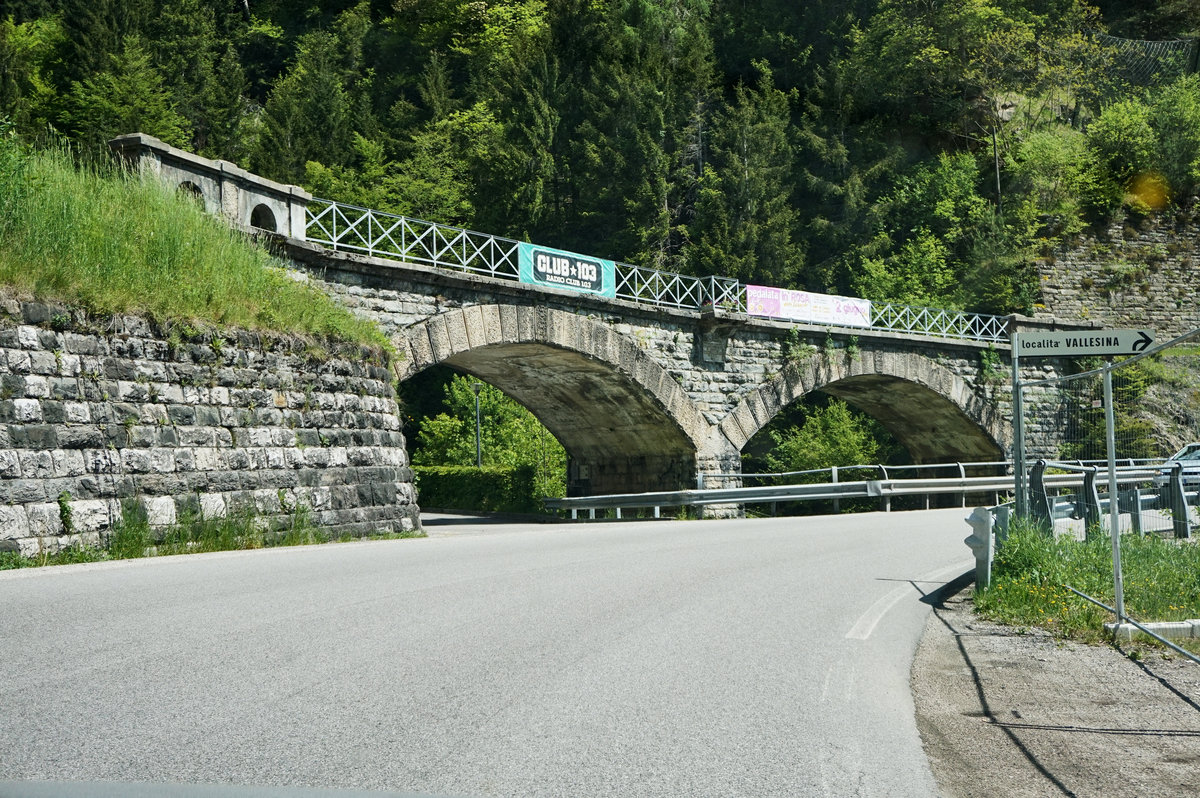 Blick auf das Viadotto di Rio Vallesina an der am 17. Mai 1964 stillgelegten Dolomitenbahn von Dobbiaco/Toblach nach Calalzo. Links des Viaduktes befand sich die ehemalige Haltestelle Vallesina. Heute befindet sich auf der alten Trasse ein Radweg.
Momentan wird in Südtirol wieder die Reaktivierung der gesamten Strecke angestrebt und so verlautete die Südtirole Landesregierung am 13. Februar 2016 den Abschluss einer Vereinbarung mit der Region Venetien über eine Machbarkeitsstudie zur Herstellung einer Bahnverbindung Pustertal–Cadore.
Zur optimalen Verknüpfung sollte die neue Bahnlinie in Normalspur gebaut werden und elektrifiziert sein. Der Energieaufwand sollte möglichst optimiert werden – wenn die Züge talwärts bremsen, kann nämlich Energie zurückgewonnen werden. Die Normalgeschwindigkeit würde im Idealfall im Bereich von 80-90 km/h liegen mit einer Höchstgeschwindigkeit von zirka 100 km/h. Damit sind Kurvenradien von rund 300 bis 400 m notwendig und Steigungen von maximal 35 Promille angemessen.

Aufgenommen am 21.5.2016