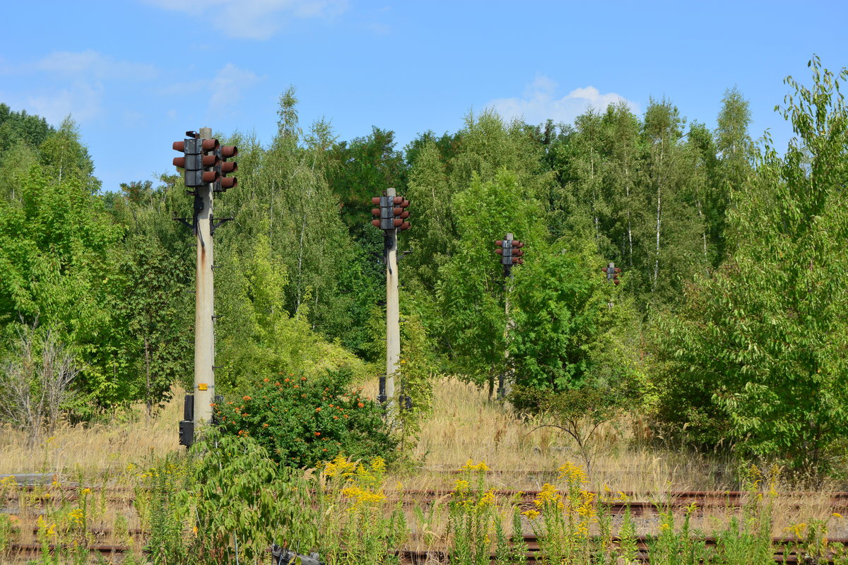 Blick auf die zahlreichen verwaisten Bremsprobesignale und Gütergleise. Einst war hier reger Betrieb und die Strecke bis Braunsbedra elektrifiziert. Heute sieht man von der Elektrifizierung kaum noch was da sie im Niedergang wieder demontiert wurde. 

Braunsbedra 07.08.2018