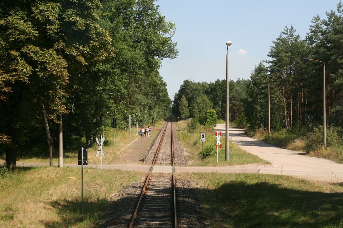 Blick aus dem Doppelstock-Schienenbus der Dessau-Wörlitzer Eisenbahn auf den Haltepunkt Biosphärenreservat.
Aufnahmedatum: 23. Juli 2013