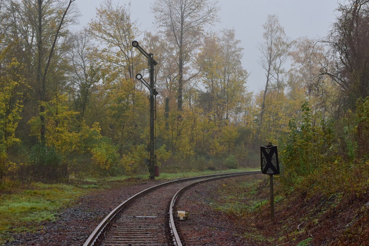 Blick von der Ausfahrt in Mariagrube in die Verbindungskurve zur Strecke nach Alsdorf. Für das Lichtsignal zum Abzweig der Strecke nach Alsdorf reichte hier damals eine Vorsignaltafel da die Einfädelung in die Strecke nach Alsdorf lediglich mit 40 erfolgte. Ende 2022 wurde die Strecke freigeschnitten da es aktuelle Pläne einer Reaktivierung bis Siersdorf und eine Verlängerung bis Baesweiler gibt. 

Mariadorf 19.11.2022
