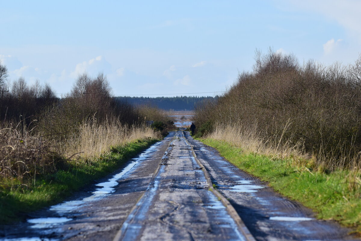 Blick von der Brücke über den Fluss Shannon in Richtung der Torffelder südlich von Shannonbridge. Das Gleis hier war fest verlegt worden. Die Gleisgeometrie ist wie bei allen Torfbahnen nicht perfekt gewesen. Neben den Torfzügen konnten auf diesen Abschnitt auf Straßenfahrzeuge wie Autos oder LKW fahren. Mit der Stillegung der letzten Torfkraftwerke in Irland endete auch der Torfabbau in Irland. Die Clonmacnoise and West Offaly Railway welche hier tätig war hatte ein Gleisnetz von etwa 9km Länge und bot bis 2008 sogar Touristenverkehr an. Heute findet man überall noch die alten Gleise und Brücken der ehemaligen Torfbahn. 

Shannonbridge 07.01.2025