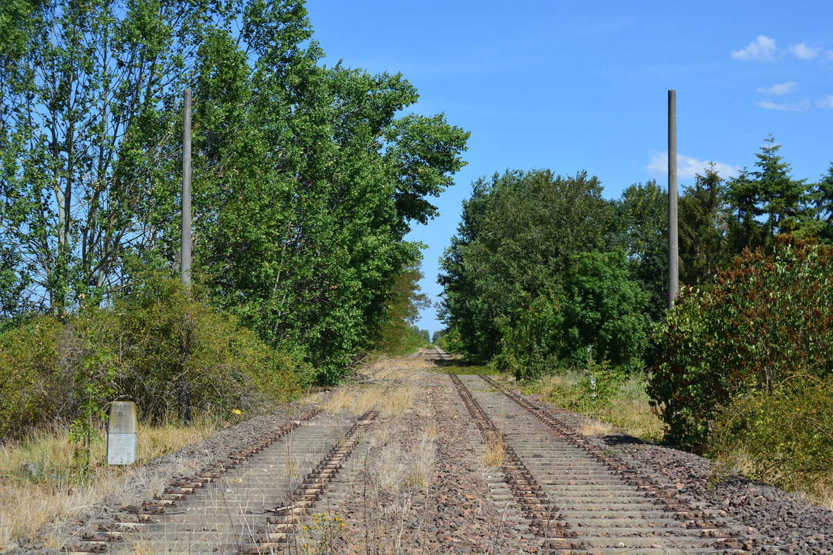 Blick von Deetz aus in Richtung Nedlitz. Vereinzelt stehen hier noch Betonmasten und es lassen sich an manchen noch Hektometer Tafeln finden.

Deetz 26.07.2018