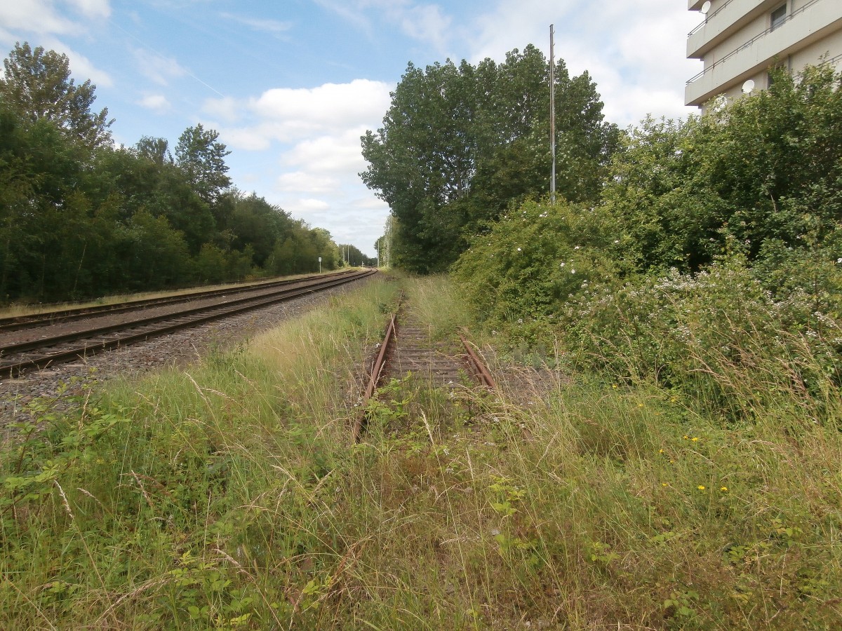 Blick durch einen Bauzaun auf ein altes Gleis was weiter auf den heutigen Busbahnhof führen würde am Bahnhof Quadrath Ichendorf.
Quadrath Ichendorf 30.05.2014