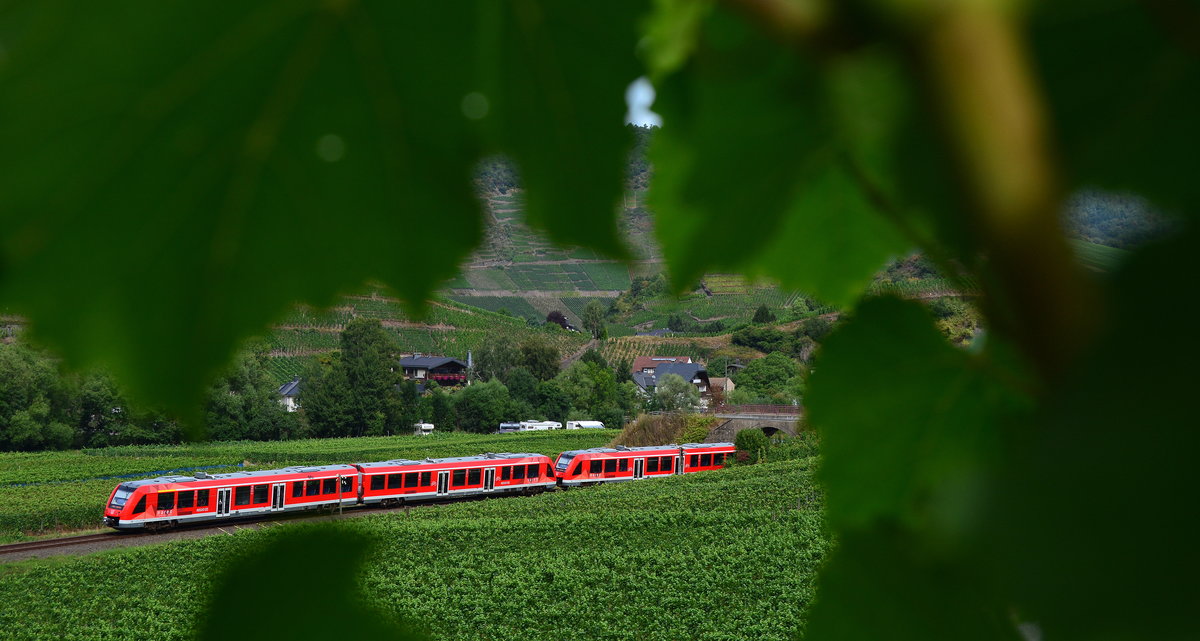 Blick durch die Weinreben in Mayschoss auf den RB30.

Mayschoss 03.09.2016