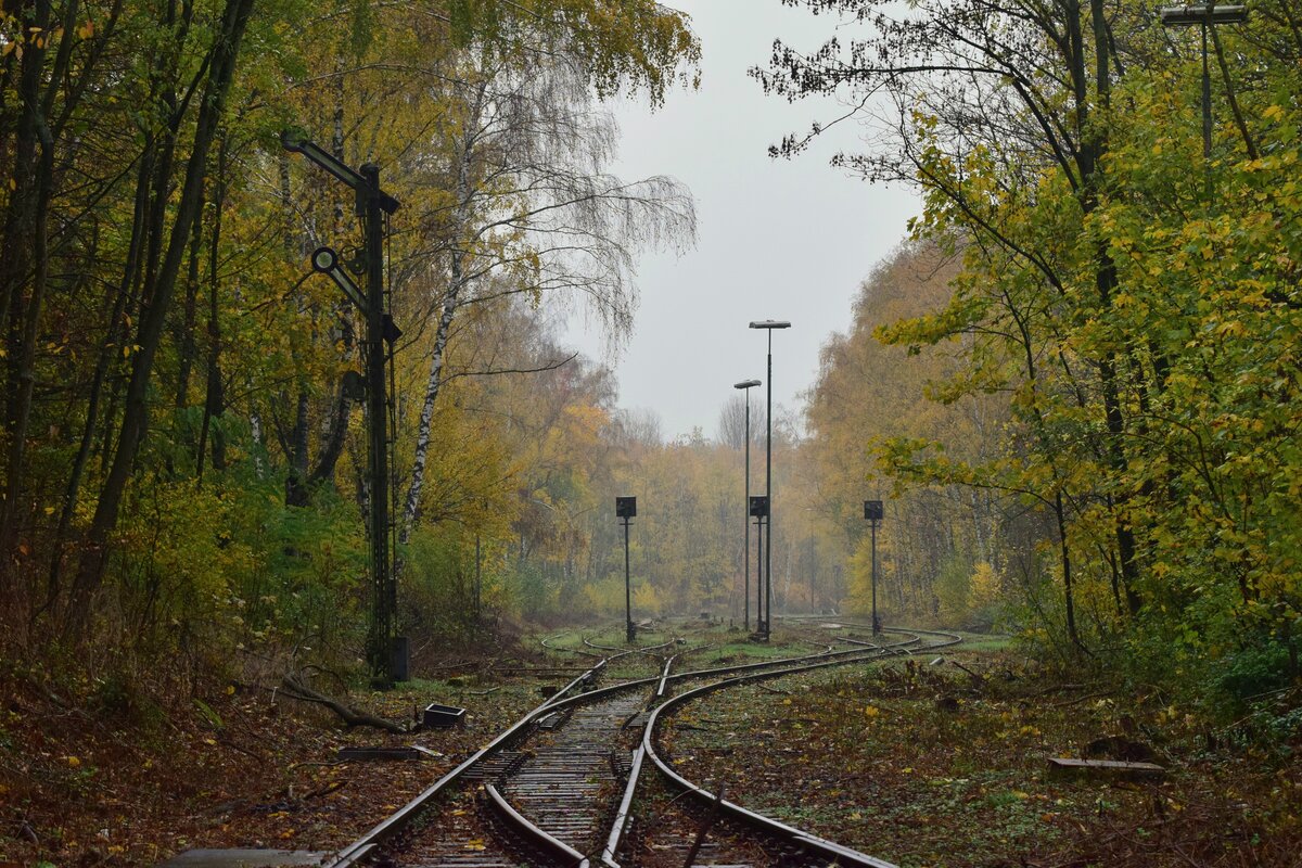 Blick in den ehemaligen Güterbahnhof Mariagrube. Man erkennt hier sehr gut das die Weichen mit der Stillgelgungsart 2 welche den Ausbau der abliegenden Zunge und die Verriegelung der Anliegenden Zunge beinhaltet. Infolge der verriegelten Weichen wurden auch alle Signale auf Fahrt gestellt und der Bahnhof somit aufgelassen. Vermutlich wurde mit der Stillgelgung der Ringbahn 1984 der Bahnhof aufgelassen. 1998 wurde die Strecke nach Siersdorf entgültig stillgelegt. Ende 2022 wurde die Strecke bis Mariagrube freigeschnitten da es aktuelle Pläne einer Reaktivierung bis Siersdorf und eine Verlängerung bis Baesweiler gibt. 

Mariadorf 19.11.2022