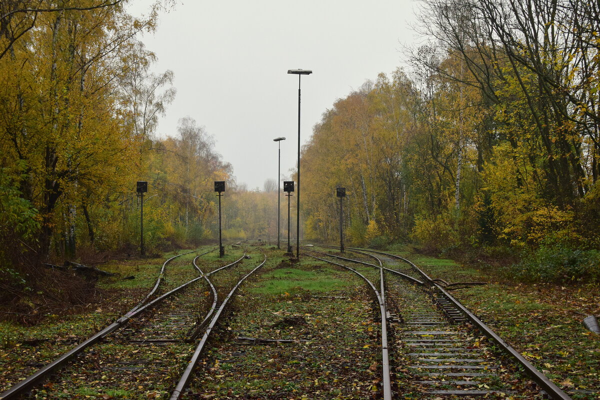 Blick in den ehemaligen Güterbahnhof Mariagrube. Man erkennt hier sehr gut das die Weichen mit der Stillgelgungsart 2 welche den Ausbau der abliegenden Zunge und die Verriegelung der Anliegenden Zunge beinhaltet. Infolge der verriegelten Weichen wurden auch alle Signale auf Fahrt gestellt und der Bahnhof somit aufgelassen. Vermutlich wurde mit der Stillgelgung der Ringbahn 1984 der Bahnhof aufgelassen. 1998 wurde die Strecke nach Siersdorf entgültig stillgelegt. Ende 2022 wurde die Strecke bis Mariagrube freigeschnitten da es aktuelle Pläne einer Reaktivierung bis Siersdorf und eine Verlängerung bis Baesweiler gibt. 

Mariadorf 19.11.2022