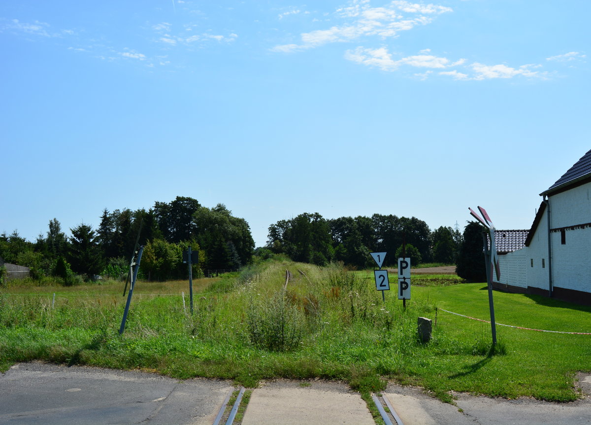 Blick vom ehemaligen Haltepunkt Dahnsdorf nach Niemegk. Seit dem 31.12.1998 ist die Strecke stillgelegt und rostet vor sich hin.

Dahnsdorf 01.08.2017