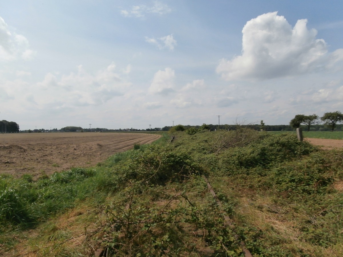 Blick in die Felder. Im Rücken liegt Kothausen.  Mitte der 1950er Jahre wurden gleich zwei Anschlüsse für das NATO-Hauptquartier nordöstlich von Rheindahlen neu angelegt. Dies waren die Anschlußgleise Holt I(Bild) und Holt II der britischen Rheinarmee. Das Anschlußgleis Holt II verlief bis zum östlichen Ortsausgang Rheindahlens parallel zum Eisernen Rhein. Dort zweigte diese Anschlußbahn in nördlicher Richtung ab und endete auf einem Armeegelände kurz vor der Autobahn A 61 bei Genhülsen. Nahe Kothausen 26.04.2014