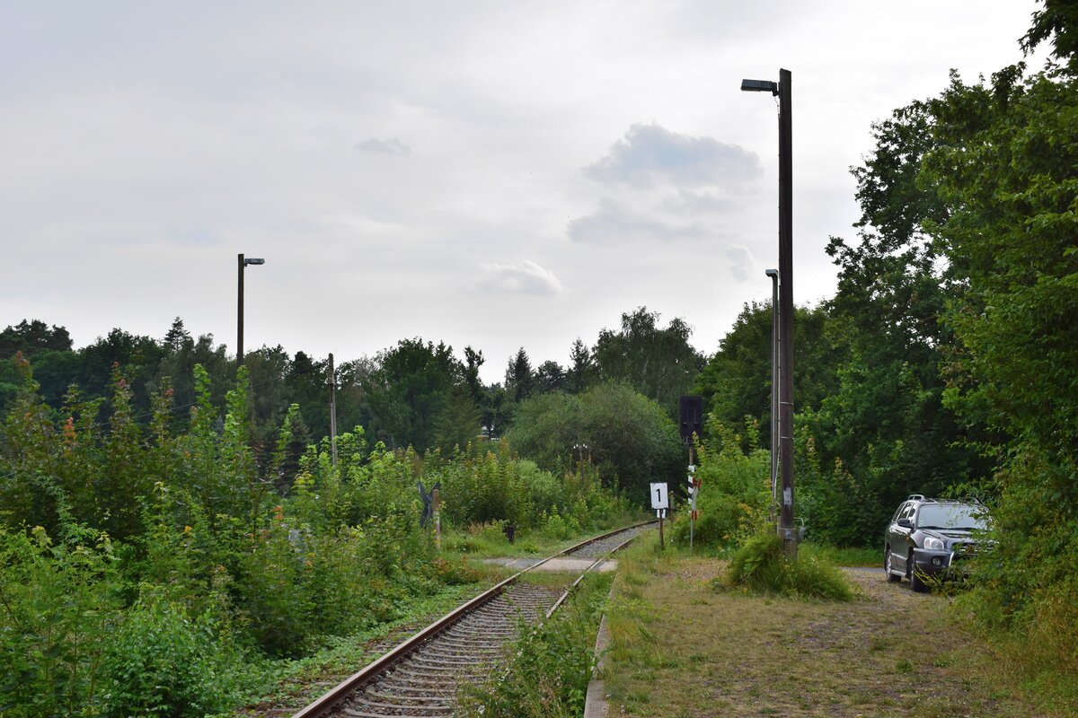 Blick vom Haltepunkt Bad Schmiedeberg Süd in Richtung Eilenburg. 1998 wurden die durchgehenden Züge nach Eilenburg eingestellt und der letzte Ast von Wittenberg nach Bad Schmiedeberg Ende 2014 eingestellt. Zuletzt gab es hier 2017 Sonderzüge. Ende 2019 wurde die Strecke wegen Oberbaumängeln betrieblich gesperrt. Seitdem verwildern einige Teile der Strecke zusehens. 

Bad Schmiedeberg 13.08.2021