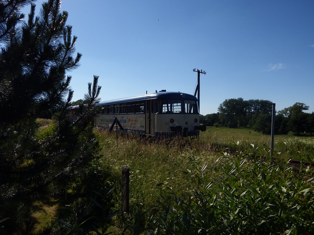 Blick hinter der Wisentatalbahn, der Abendzug  fährt an diesem schönen Sommertag 2017
gerade nach Schleiz