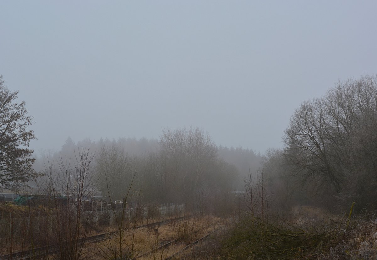Blick von der Laderampe auf die Gleise im Bahnhof Höhn. Hier rollt seit Jahren kein Zug mehr und die Natur eroberte sich fast alles wieder zurück. Nach 18Jahren wird die Westerwaldquerbahn aus dem Dornröschenschlaf geholt. Man plant eine Draisinenstrecke von Rennerod bis Westerburg. Man hat bereits einige Bahnübergänge erneuert. Bisland ist erst der Abschnitt Rennerod - Fehl-Ritzhausen freigegeben und befahrbar. Bis auch hier Draisinen rollen wird es wohl noch etwas dauern.

Höhn 17.12.2016