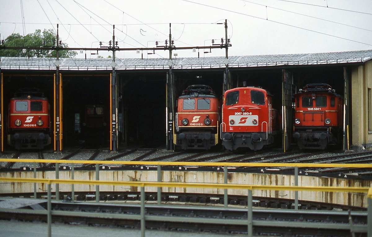 Blick in den Lokschuppen der Zfl. Selzthal im August 1995, von links nach rechts 1040 016-6, 1040 012-5, 2067 080-8 und 1245 534-1.