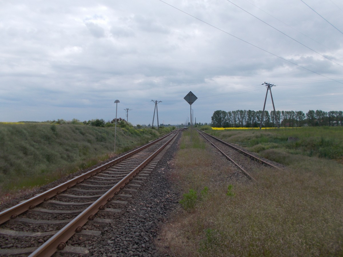 Blick nach Szczecin Gumience,am 25.Mai 2015,von einem Bahnübergang aus,bei Stobno Szczecinskie an der Strecke Szczecin-Pasewalk.Obwohl ein zweites Gleis erkennbar ist,wird hier eingleisig gefahren.