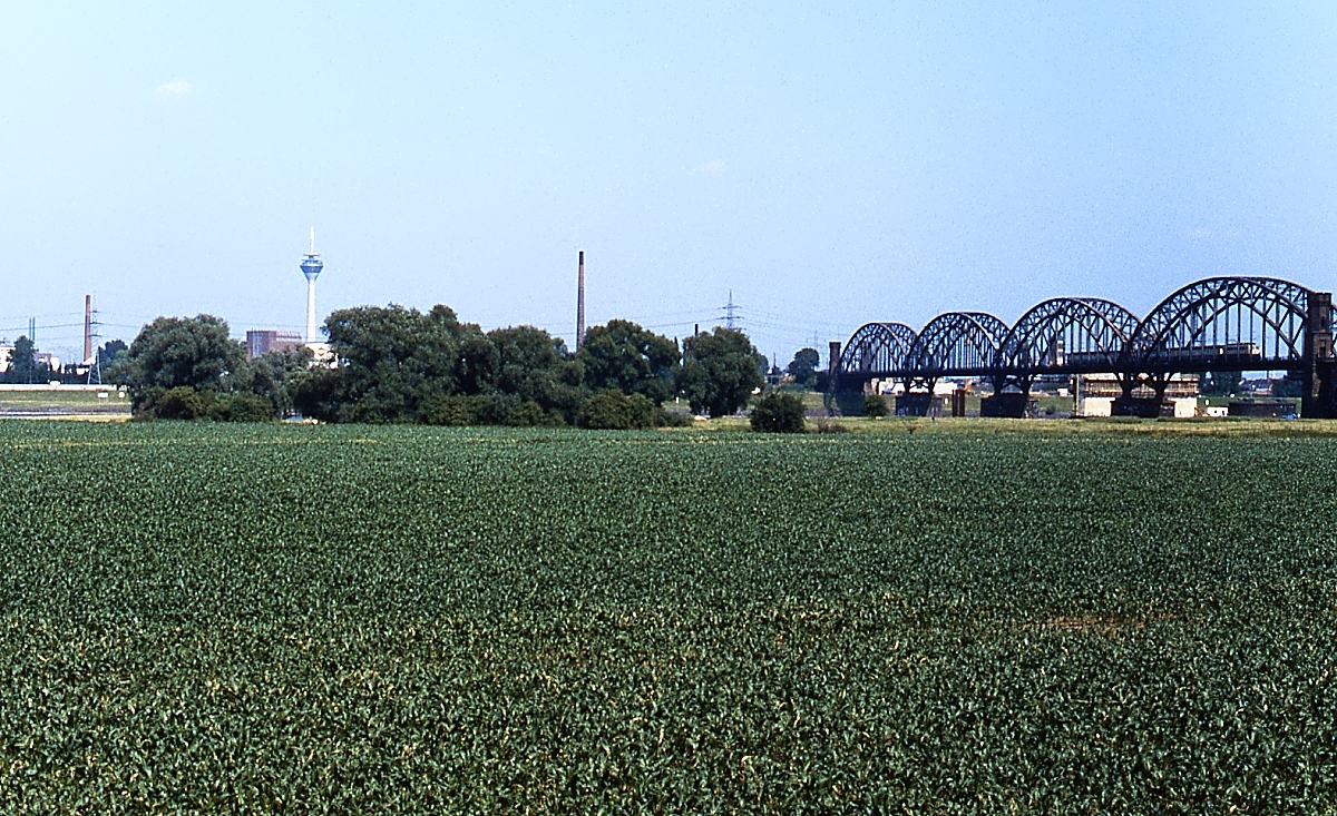 Blick von der Neusser Seite über den (nicht sichtbaren) Rhein nach Düsseldorf an einem Sommertag Anfang der 1980er Jahre, recht die Eisenbahnbrücke Düsseldorf- Neuss, die gerade von einer E 10.1 mit einem Personenzug überquert wird