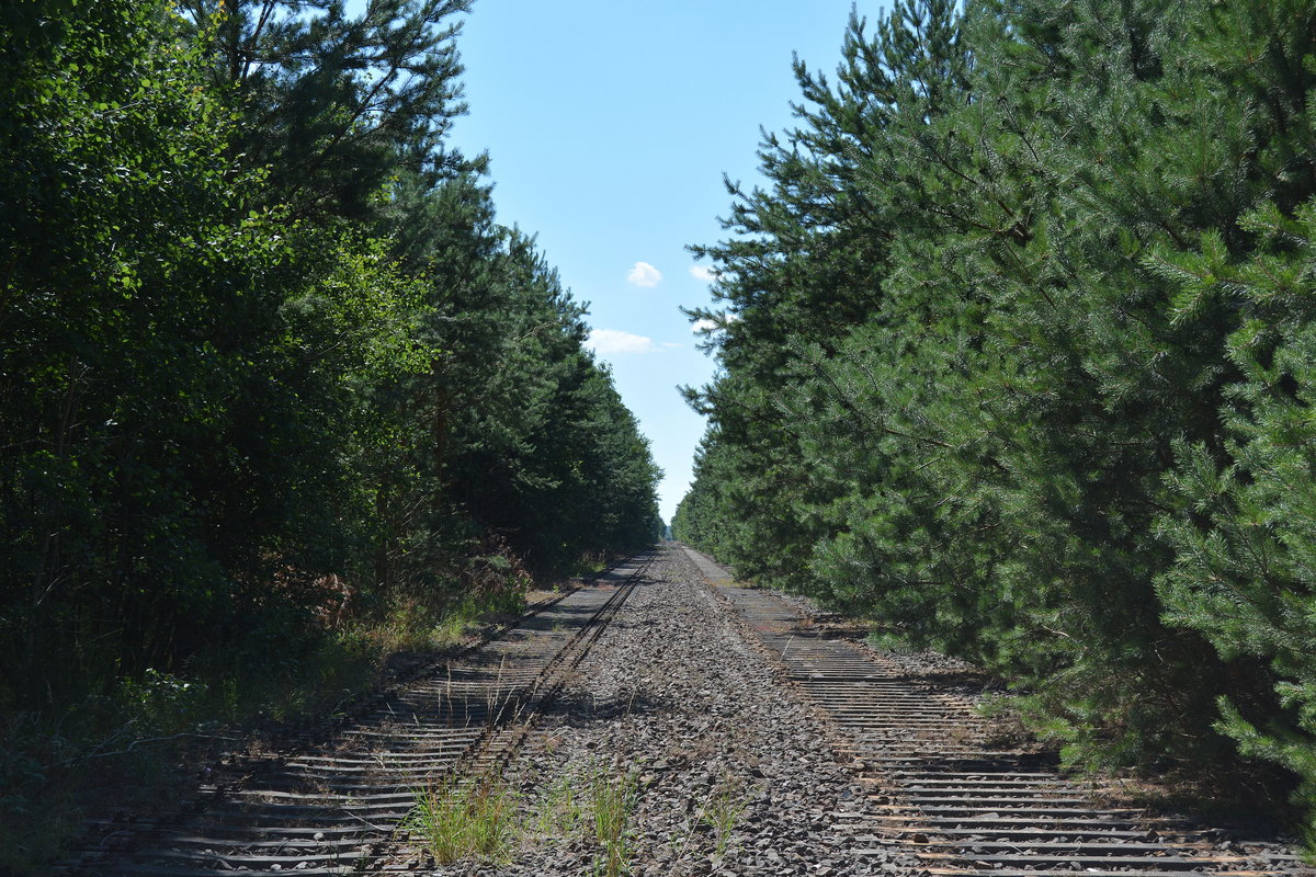 Blick in Richtung Güterglück auf der einstigen Kanonenbahn. 1992 wurde die Strecke  ab Nedlitz bis Güterglück 2 Gleisig ausgebaut und 1 Jahr elektrifizert. Schon 10 Jahre später wurde die Strecke stillgelegt und wird nun teilweise zurück gebaut.

Nedlitz 20.07.2016