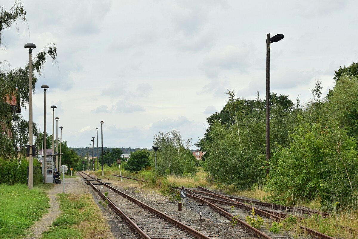 Blick vom Trampelpfad zum Bahnsteig aus auf den Bahnhof Naumburg Ost. Außer die stündlich endende RB aus Wangen ist hier nichts mehr los. Die Strecke führte im Rücken weiter bis Teuchern. Der Personenverkehr wurde dort 2010 eingestellt und die Strecke ist heute betrieblich gesperrt. 

Naumburg 11.08.2021