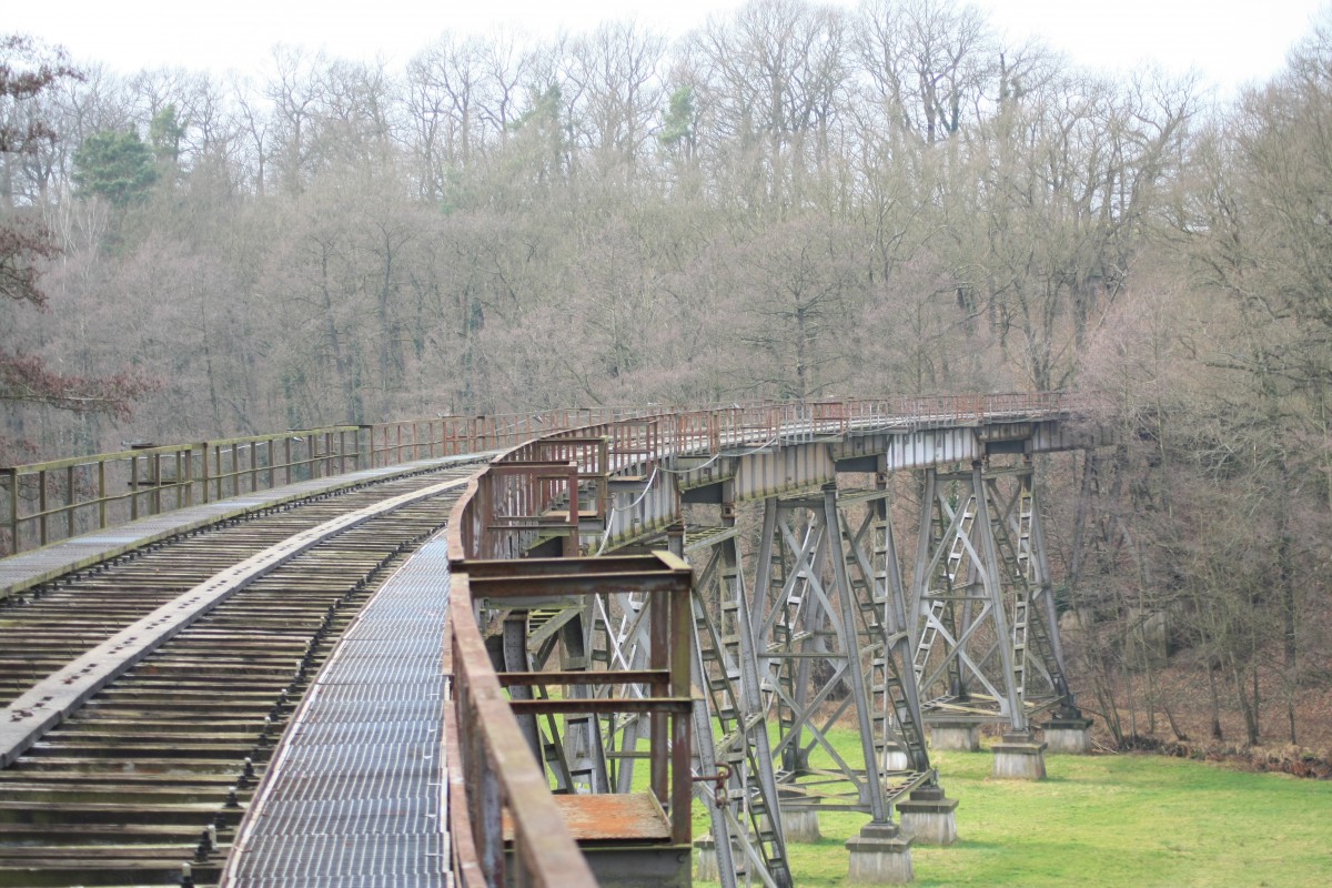 Blick von ber auf das alte Eisenbahnviadukt ber das Pulsnitztal in Knigsbrck,19.12.2013,12:19 Uhr 