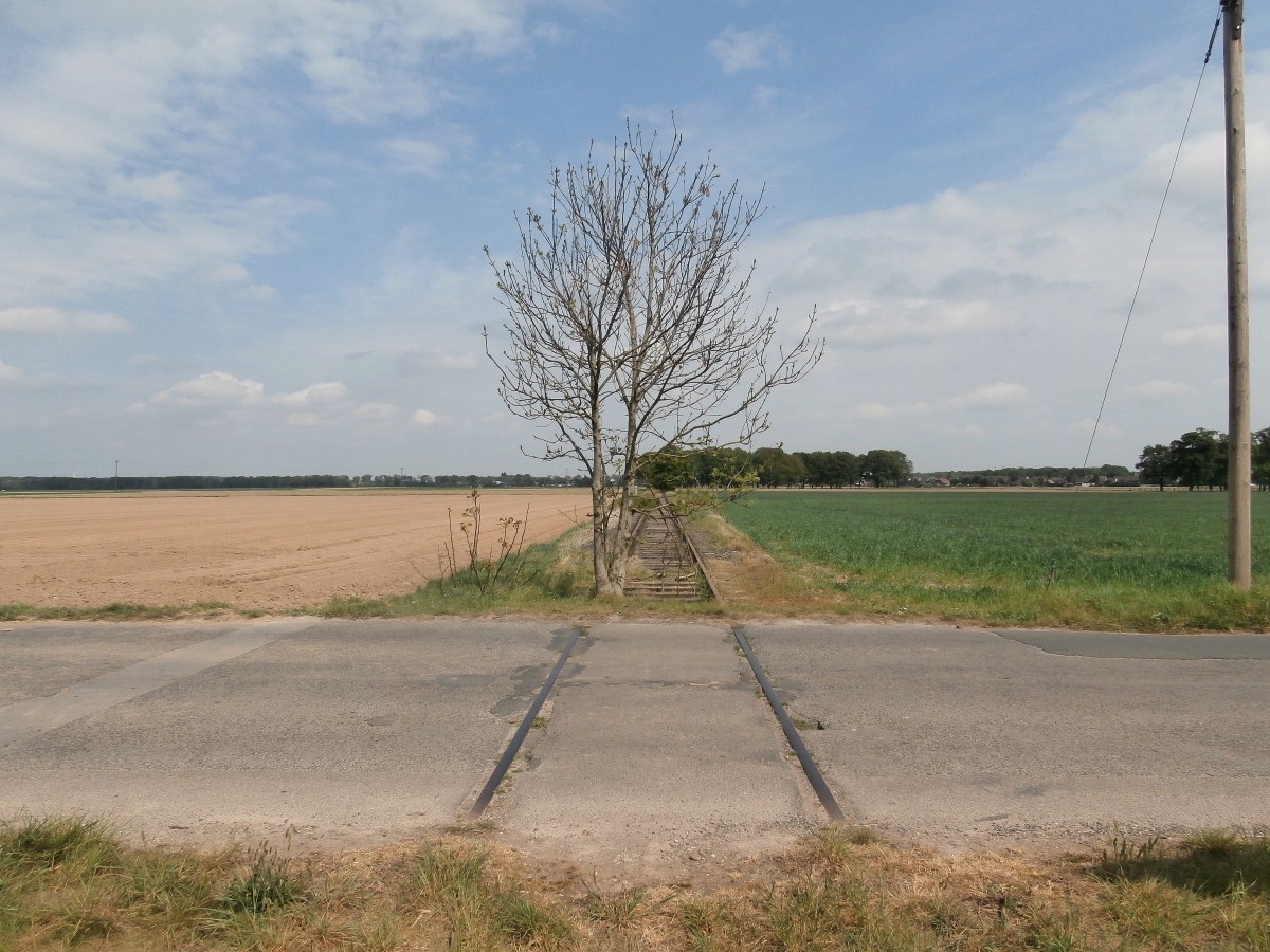 Blick über den Bahnübergang auf der K9 zwischen Kothausen und Gerkerath.  Mitte der 1950er Jahre wurden gleich zwei Anschlüsse für das NATO-Hauptquartier nordöstlich von Rheindahlen neu angelegt. Dies waren die Anschlußgleise Holt I(Bild) und Holt II der britischen Rheinarmee. Das Anschlußgleis Holt II verlief bis zum östlichen Ortsausgang Rheindahlens parallel zum Eisernen Rhein. Dort zweigte diese Anschlußbahn in nördlicher Richtung ab und endete auf einem Armeegelände kurz vor der Autobahn A 61 bei Genhülsen. Zwischen Kothausen und Gerkerath 26.04.2014