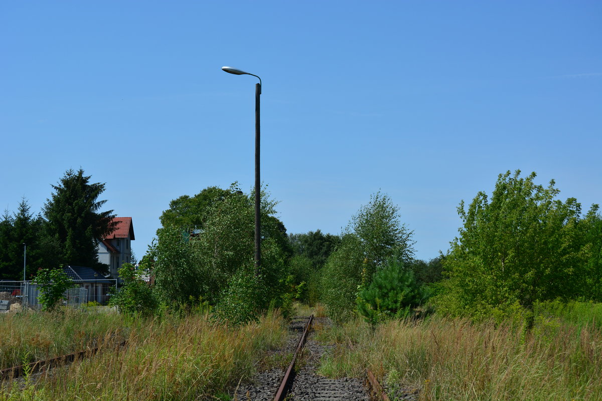 Blick über dem mittlerweile sehr verwachsenen Bahnhof Niemegk. Bis zum 31.12.1998 war hier noch Schienenverkehr. Seitdem ruht die Strecke und die Natur holt sich ihren Raum zurück.

Niemegk 01.08.2017