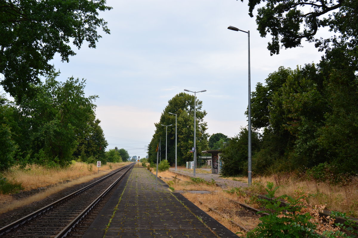 Blick über den ehemaligen Bahnhof Meitzendorf. Heute ist er nur noch Haltepunkt. Das Bahnhofsgebäude ist schon lange abgerissen und Gleis 1 stillgelegt. Heute hält die RB36 hier nur noch bei Bedarf.

Meitzendorf 22.07.2018