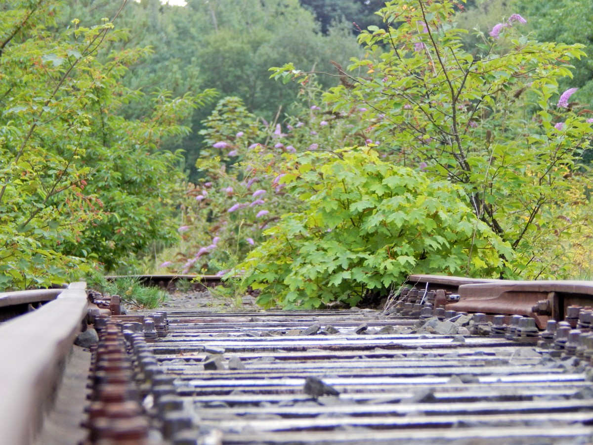 Blick über die seit 11 Jahren stillgelegten Ladegleise auf dem alten NATO Umschlagplatz der belgischen Armee in Rösrath Stümpen. Gelände ist öffentlich zugänglich.

Rösrath 15.08.2015