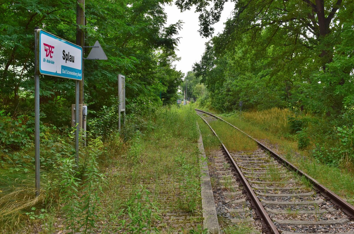 Blick über den verwildeerten Haltepunkt Splau. 1998 wurden die durchgehenden Züge nach Eilenburg eingestellt und der letzte Ast von Wittenberg nach Bad Schmiedeberg Ende 2014 eingestellt. Zuletzt gab es hier 2017 Sonderzüge. Ende 2019 wurde die Strecke wegen Oberbaumängeln betrieblich gesperrt. Seitdem verwildern einige Teile der Strecke zusehens. 

Splau 13.08.2021