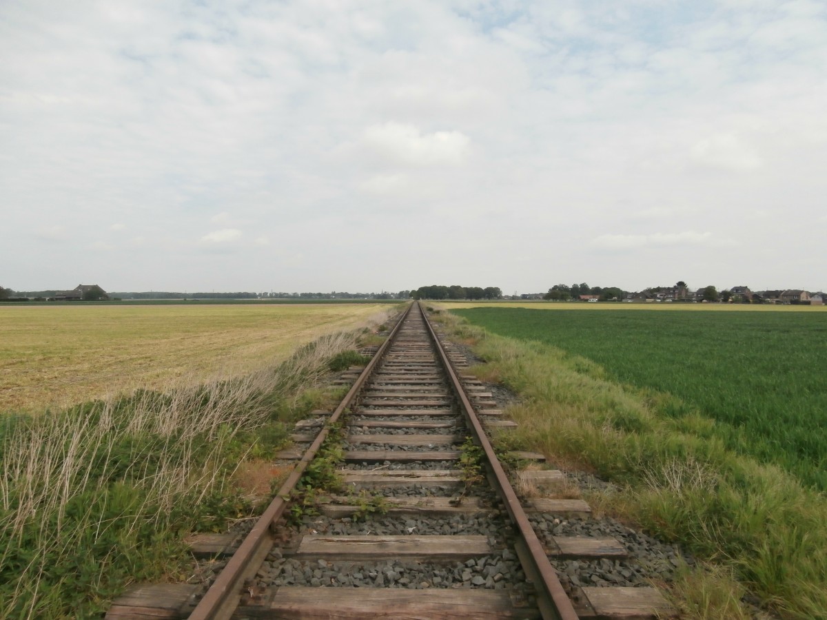 Blick in die weiten Felder wo das Gleis sogut wie garnicht bewachsen ist. Mitte der 1950er Jahre wurden gleich zwei Anschlüsse für das NATO-Hauptquartier nordöstlich von Rheindahlen neu angelegt. Dies waren die Anschlußgleise Holt I(Bild) und Holt II der britischen Rheinarmee. Das Anschlußgleis Holt II verlief bis zum östlichen Ortsausgang Rheindahlens parallel zum Eisernen Rhein. Dort zweigte diese Anschlußbahn in nördlicher Richtung ab und endete auf einem Armeegelände kurz vor der Autobahn A 61 bei Genhülsen.
Rheindahlen 26.04.2014
