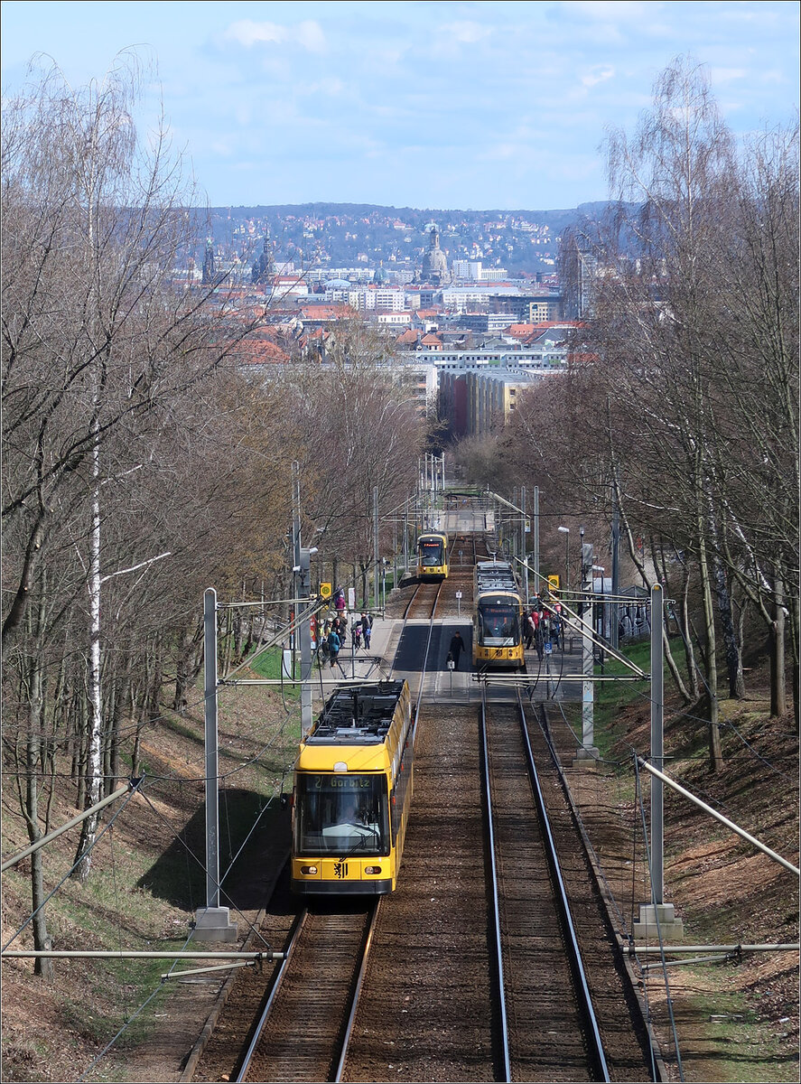 Blick zur Dresdener Innenstadt - 

Die in den 1980iger Jahren entstandene Steilstrecke in Dresden-Gorbitz lässt einen schönen Ausblick auf die Innenstadt zu, die Frauenkirche liegt fast in Flucht der Gleise.
Im Bereich der Haltestelle Merianplatz (Elbamare) sind drei Straßenbahnen auf den hier verkehrenden Linien 2 und 7 zu sehen. Die vordere Bahn gehört zur ersten Niederflurstraßenbahngeneration (ab 1995) in Dresden, die beiden weiteren gehören zur zweiten Generation (ab 2006).

22.03.2023 (M)
