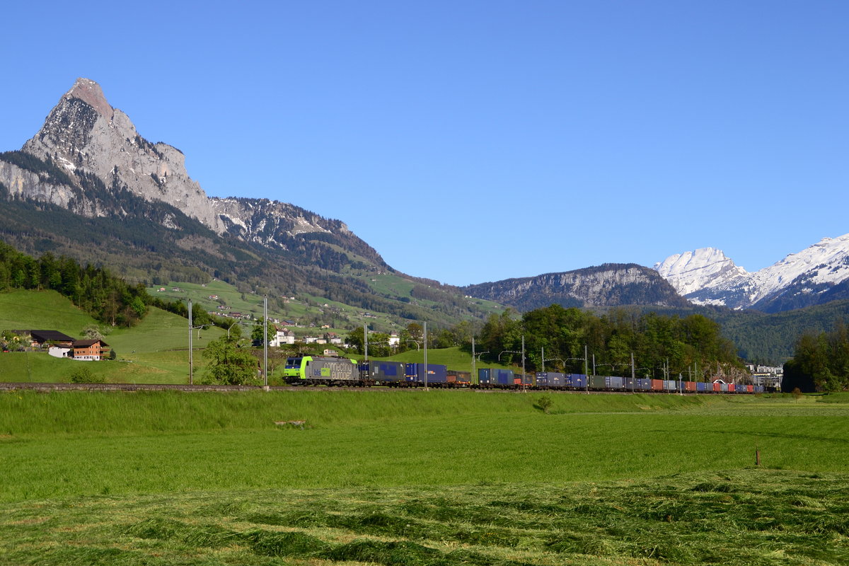 BLS 485 004 mit einem Containerzug am 05.05.2016 in Steinen