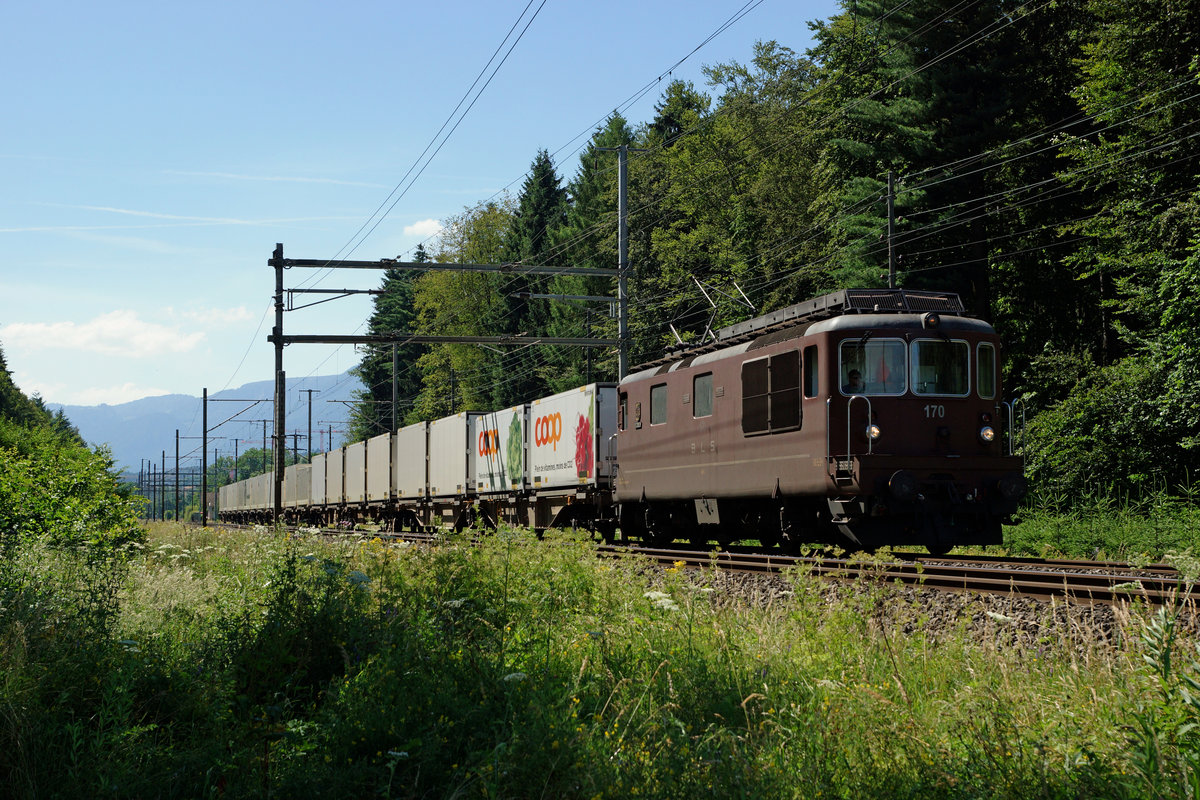 BLS: Am 7. Juli 2016 konnten auf der Jurasüdfuss Linie gleich zwei Re 425 (BRAUNE MUTZEN) beobachtet werden. Dabei handelte es sich um die Nummern 170 und 195 mit unterschiedlichen Stromabnehmern. Verewigt wurden beide Züge zwischen Deitingen und Luterbach.
Foto: Walter Ruetsch