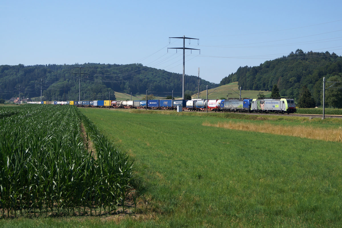 BLS CARGO INTERNATIONAL
Unpassende Doppeltraktion bei Leimiswil in Richtung Herzogenbuchsee unterwegs am 24. Juli 2019.
Foto: Walter Ruetsch