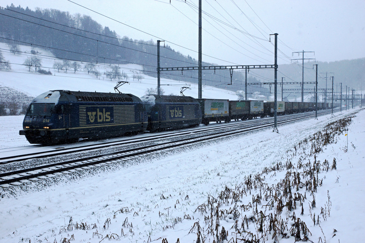 BLS: Die Re 465 014 und Re 465 009 mit einem langen Güterzug bei Riedtwil am 17. Januar 2017.
Foto: Walter Ruetsch