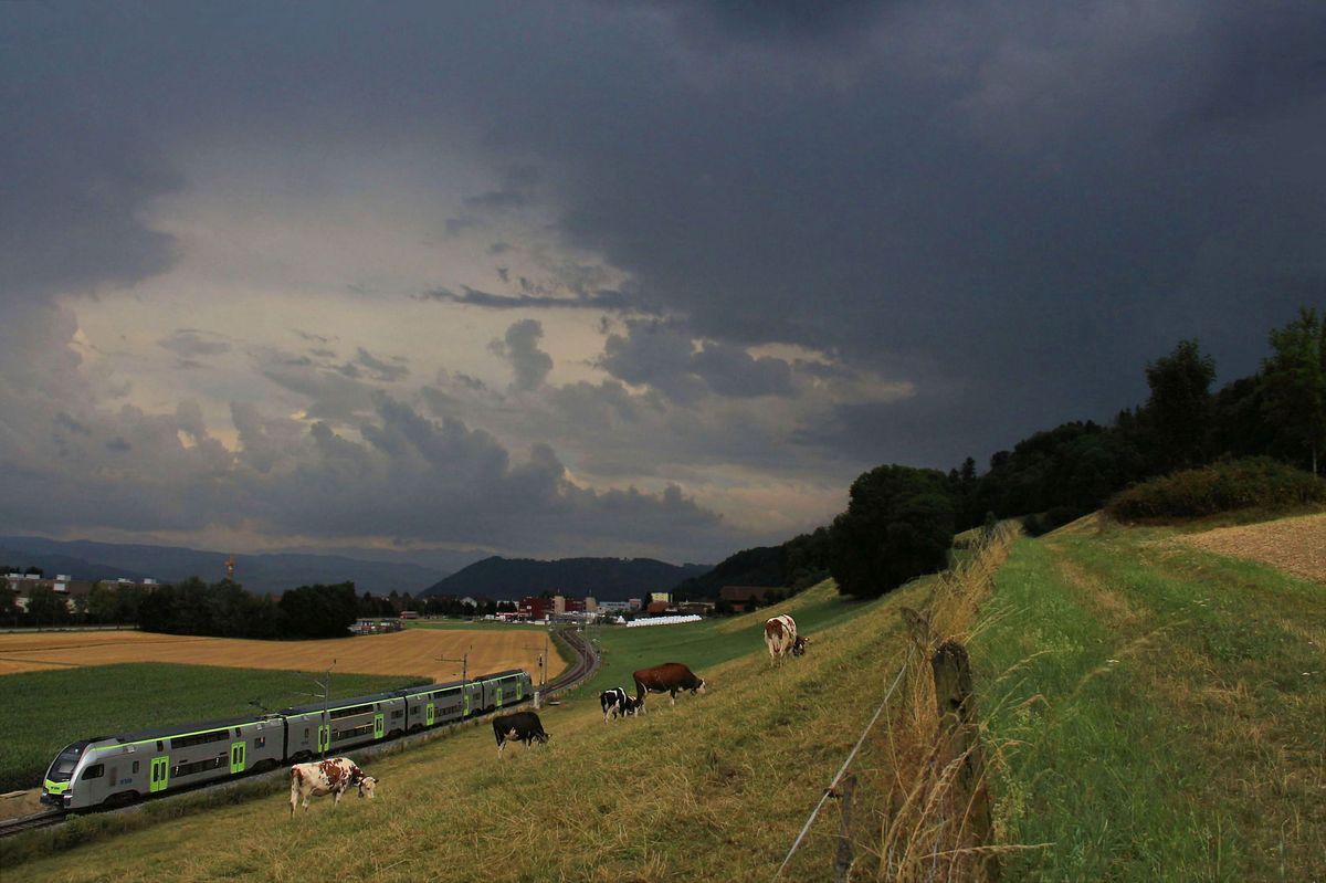BLS Doppelstocktriebzug RABe 515  Mutz : Während sich ein schweres Gewitter von den Alpen her aufs Mittelland zubewegt, bewegt sich ein Triebzug  Mutz  auf die Station Kehrsatz Nord zu. 21.Juli 2017.
