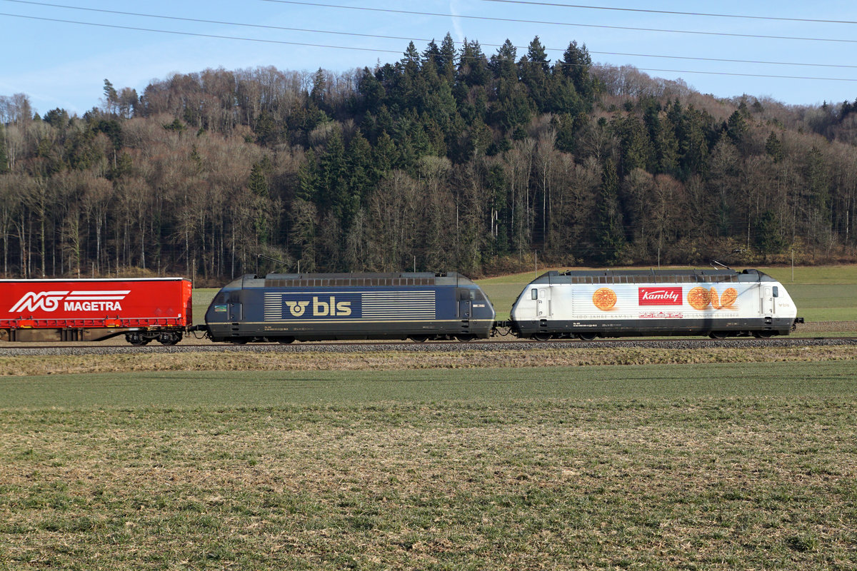 BLS Doppeltraktion bestehend aus Re 465 auf der Fahrt bei Bollodingen am 19. Februar 2019.
Foto: Walter Ruetsch
