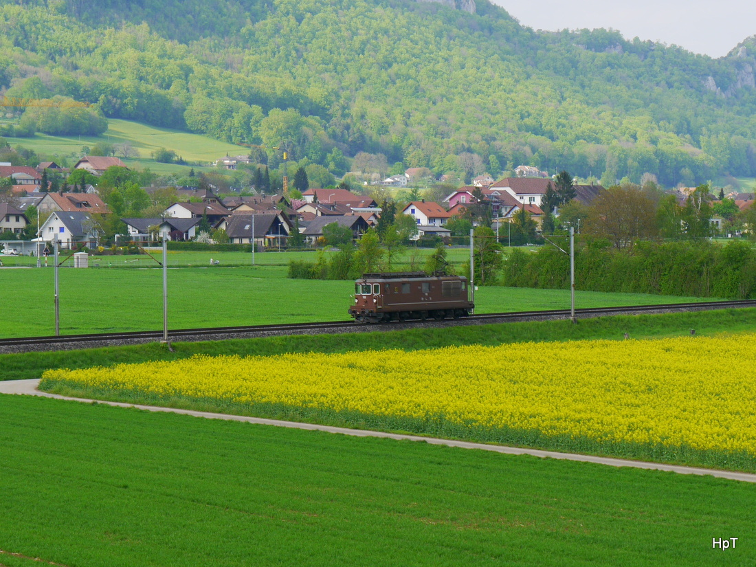 BLS - Lokzug mit der Re 4/4  195 unterwegs bei Niederbipp am 28.04.2015
