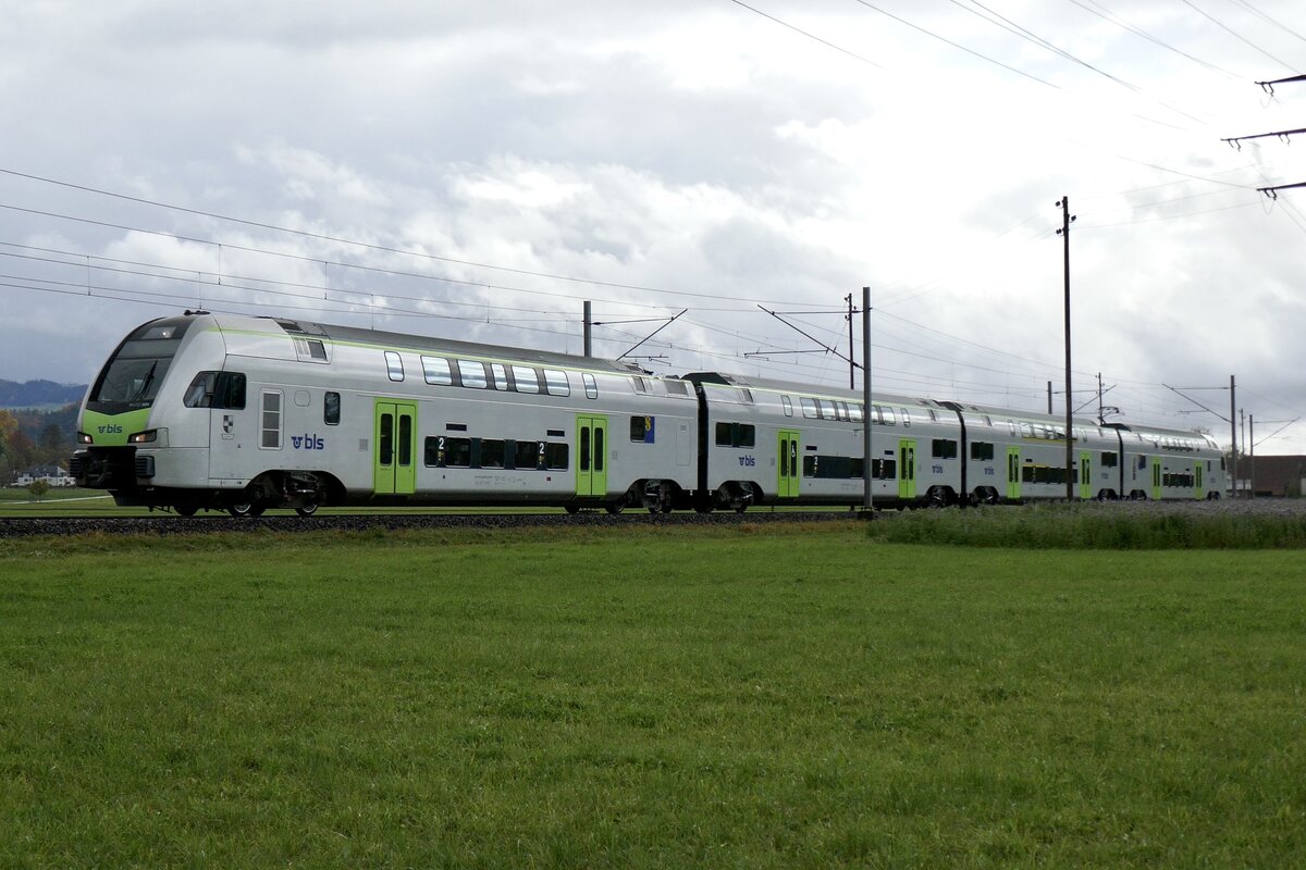 BLS Mutz RABe 515 009  Muri bei Bern  als S1 nach Fribourg am 11.11.23 bei Kiesen.