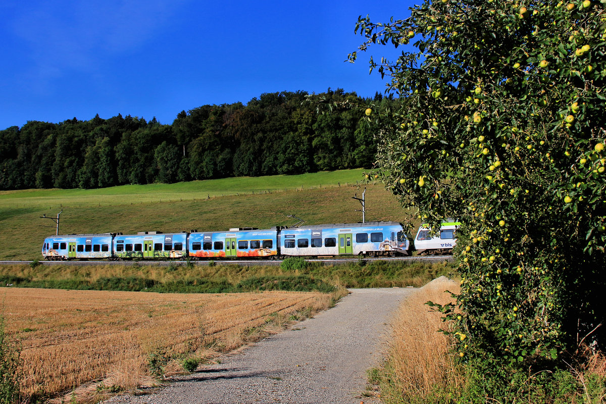 BLS NINA 15 und die Aepfel. Der Zug wirbt für den Berner Hausberg Gurten. 12.August 2018 