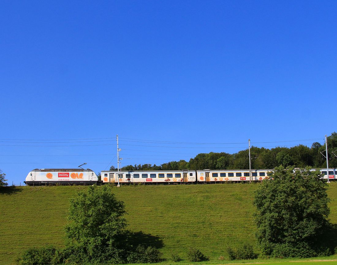 BLS Pendelzug Bern - La-Chaux-de-Fonds mit schiebender Lok 465 004, welche für die Biscuit-Firma Kambly wirbt. Bei Gümmenen, 15.August 2017  
