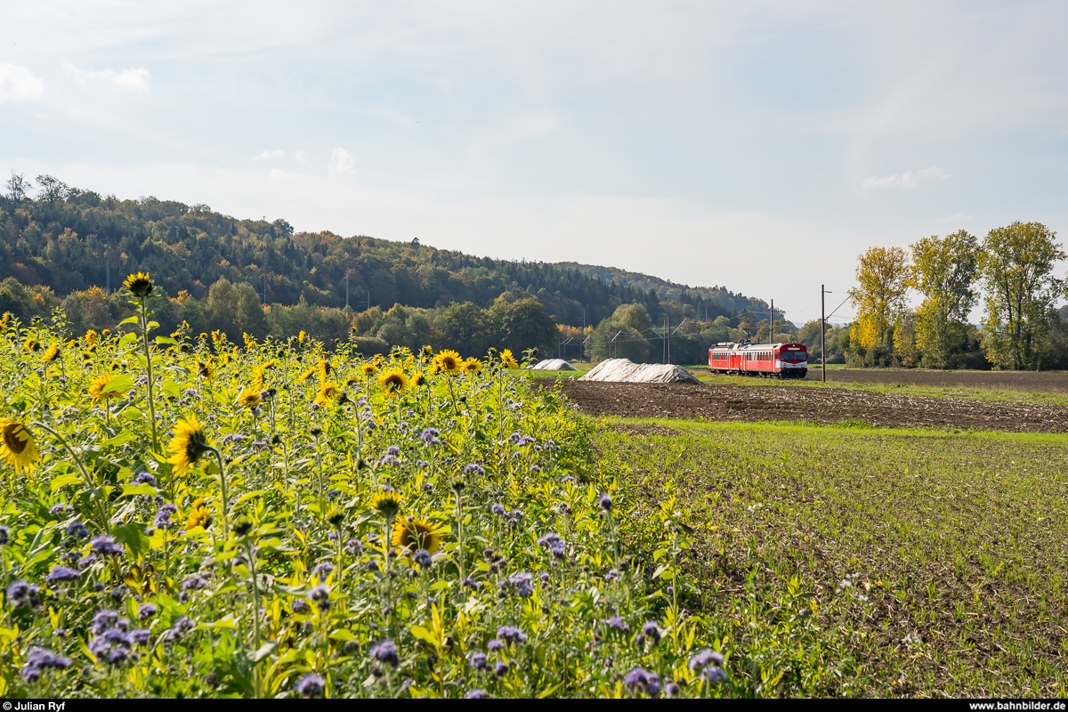 BLS RBDe 566 221 im Einsatz für die CJ am 19. Oktober 2020 als Regio Porrentruy - Alle zwischen Porrentruy und Alle.
