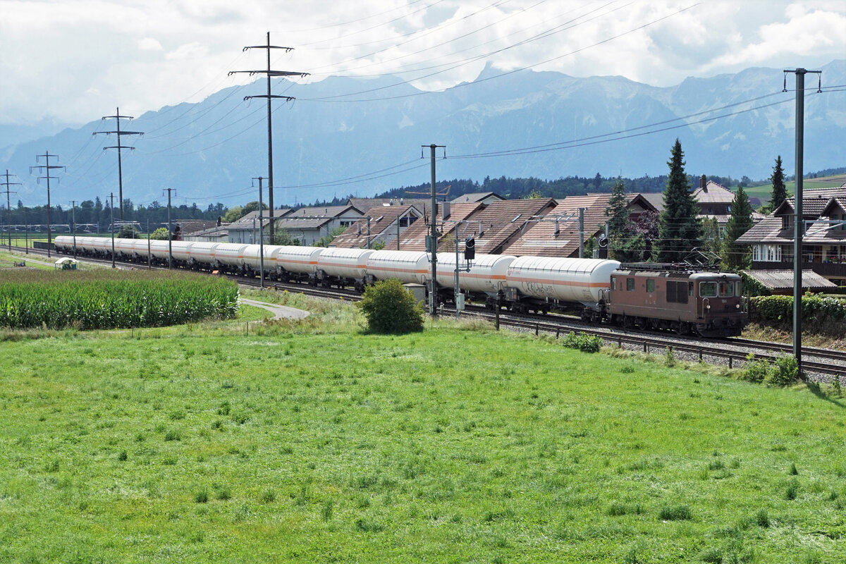BLS Re 425 184 mit dem Gasleermaterialzug Visp-Basel bei Wichtrach am 23. August 2021.
Da der Bestand der  Brunelis  in letzter Zeit schrumpft und schrumpft, werden sie ab sofort auch im Gegenlicht verewigt.
Foto: Walter Ruetsch 