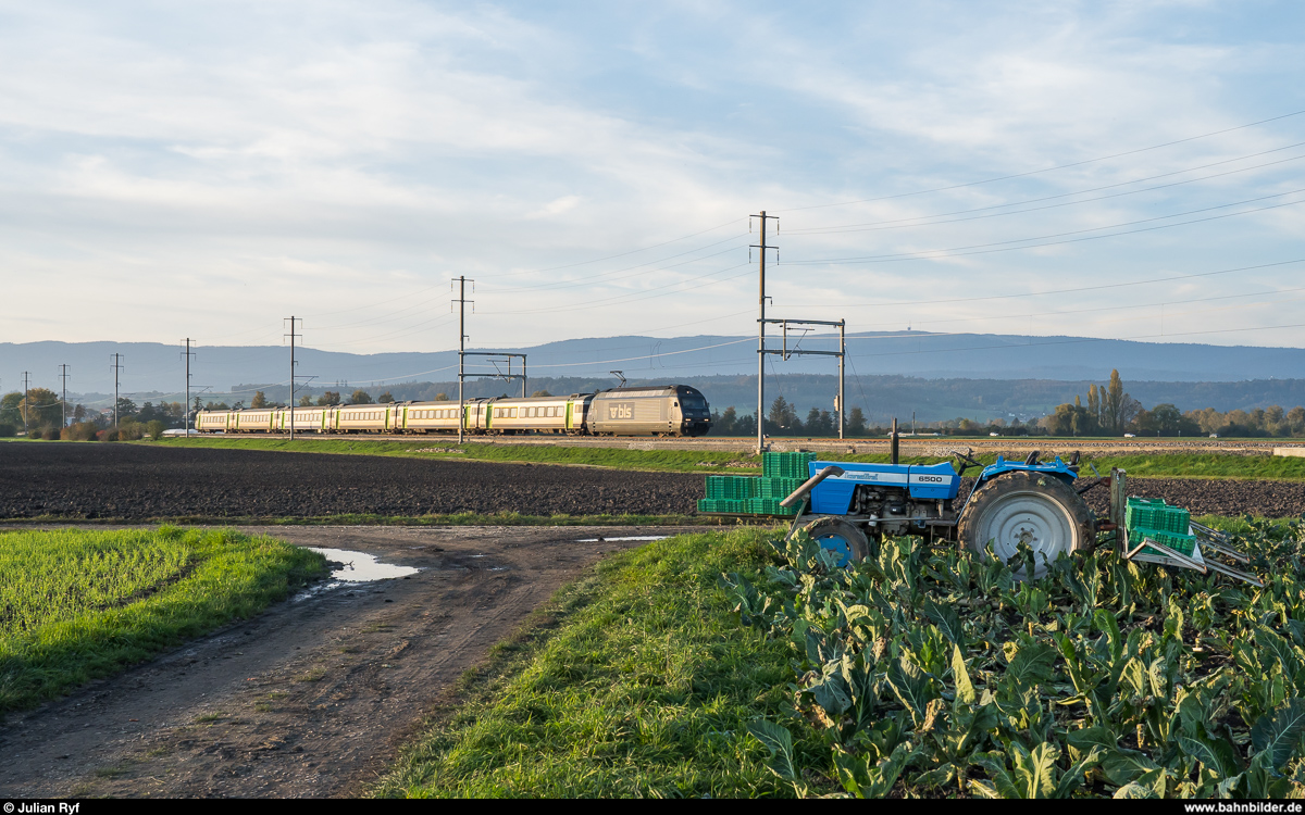 BLS Re 465 007  Schilthorn  mit RE La Chaux-de-Fonds - Bern am 26. Oktober 2019 im grossen Moos zwischen Müntschemier und Kerzers.