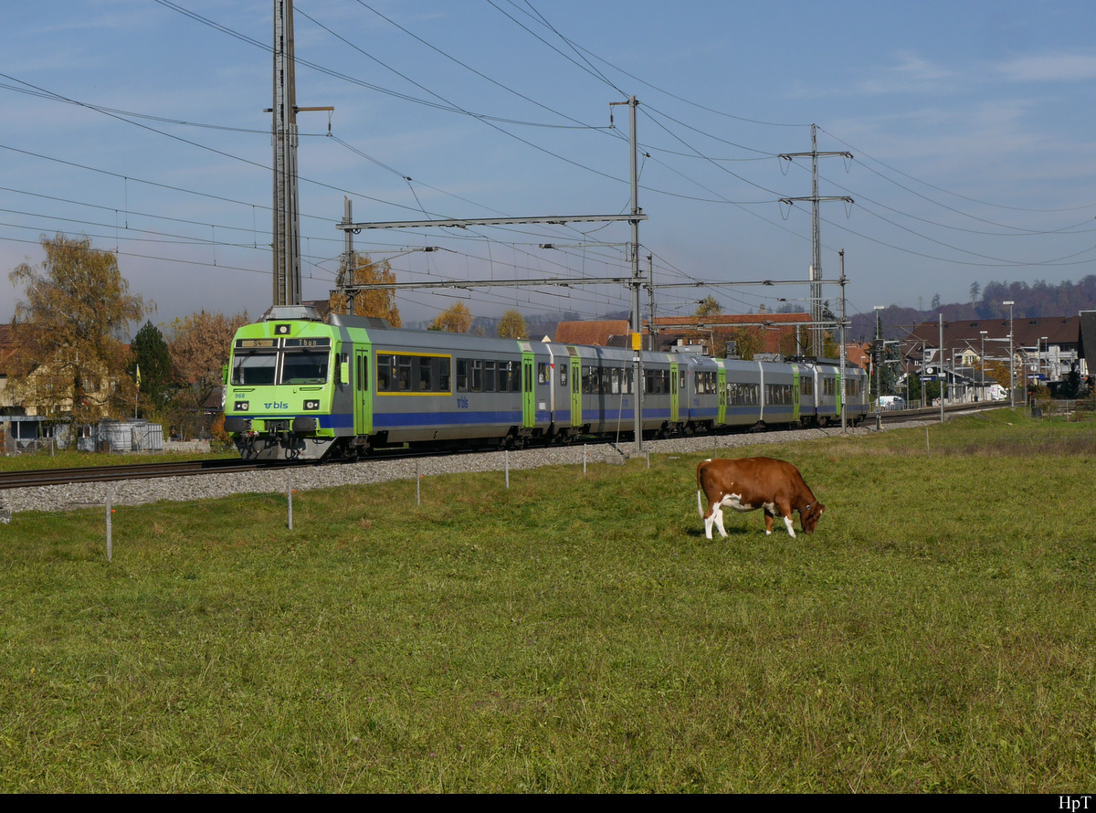 BLS - Regio nach Bern - Belp - Thun an der Spitze der Steuerwagen ABt 50 85 80-35 968 unterwegs bei Lyssach am 31.10.2020