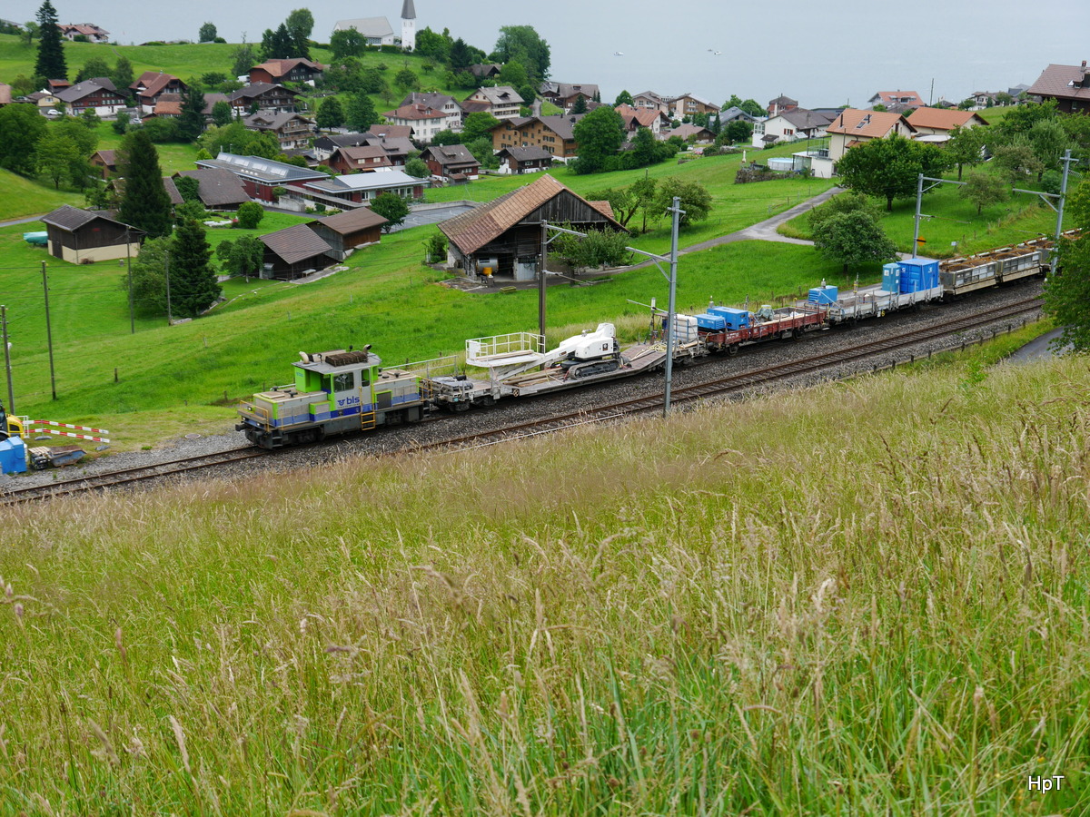 BLS - Tm 2/2  235 093-2 mit Div. Baudienstwagen abgestellt bei dem Bahnhof von Faulensee am 21.06.2015