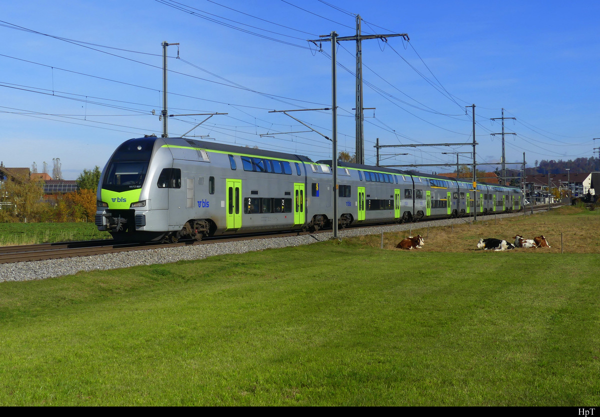 BLS - Triebzug RABe 515 037 unterwegs bei Lyssach am 31.10.2021