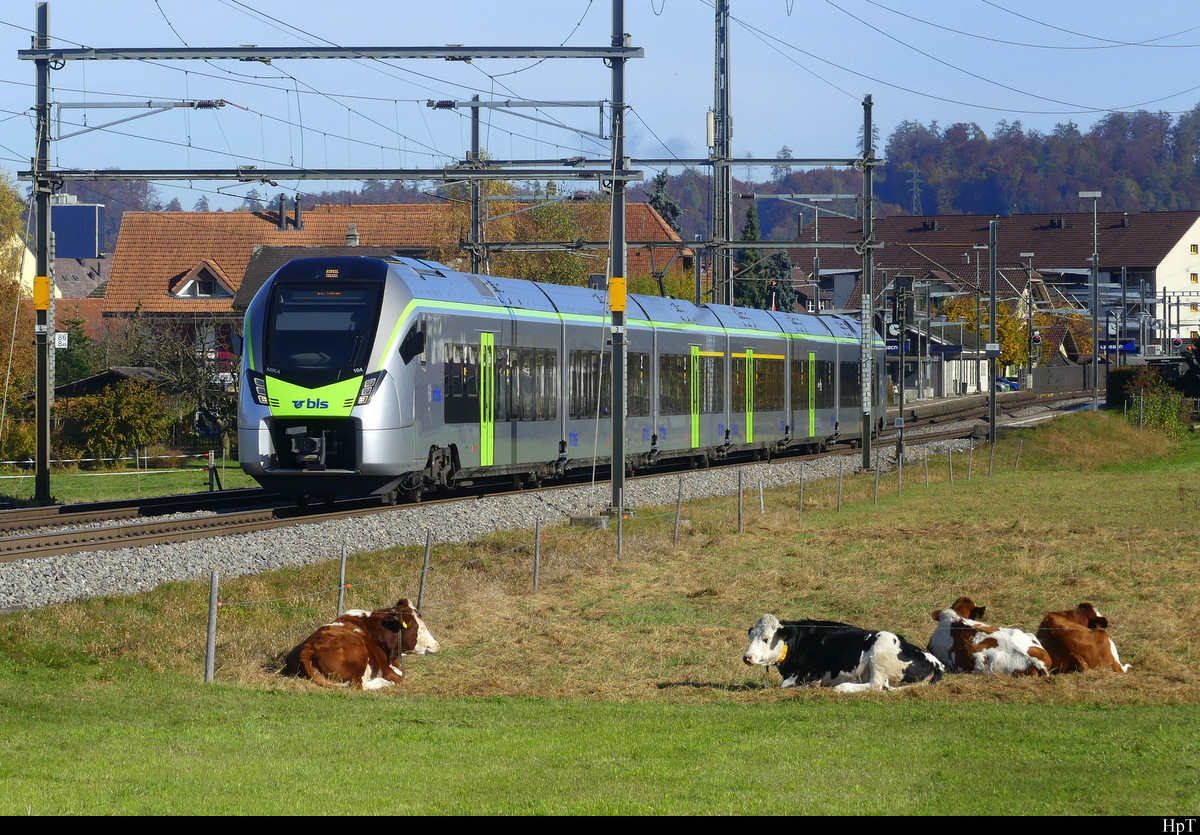 BLS - Triebzug RABe 528 104 unterwegs bei Lyssach am 31.10.2021