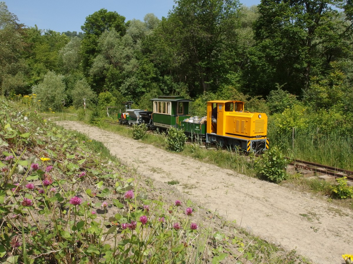 Bözenegg-Eriwis Bahn auf dem Weg zur ehemaligen Tongrube Eriwis. Im Jahr 2000 stillgelegte Feldbahn der Zürcher Ziegeleien. Transport von Opalinuston von der Grube Eriwis nach der SBB-Verladung in der Bözenegg/Bahnhof Schinznach-Dorf.
Aufnahme 24.5.2015   Mehr zur Geschichte unter  www.bebrail.ch