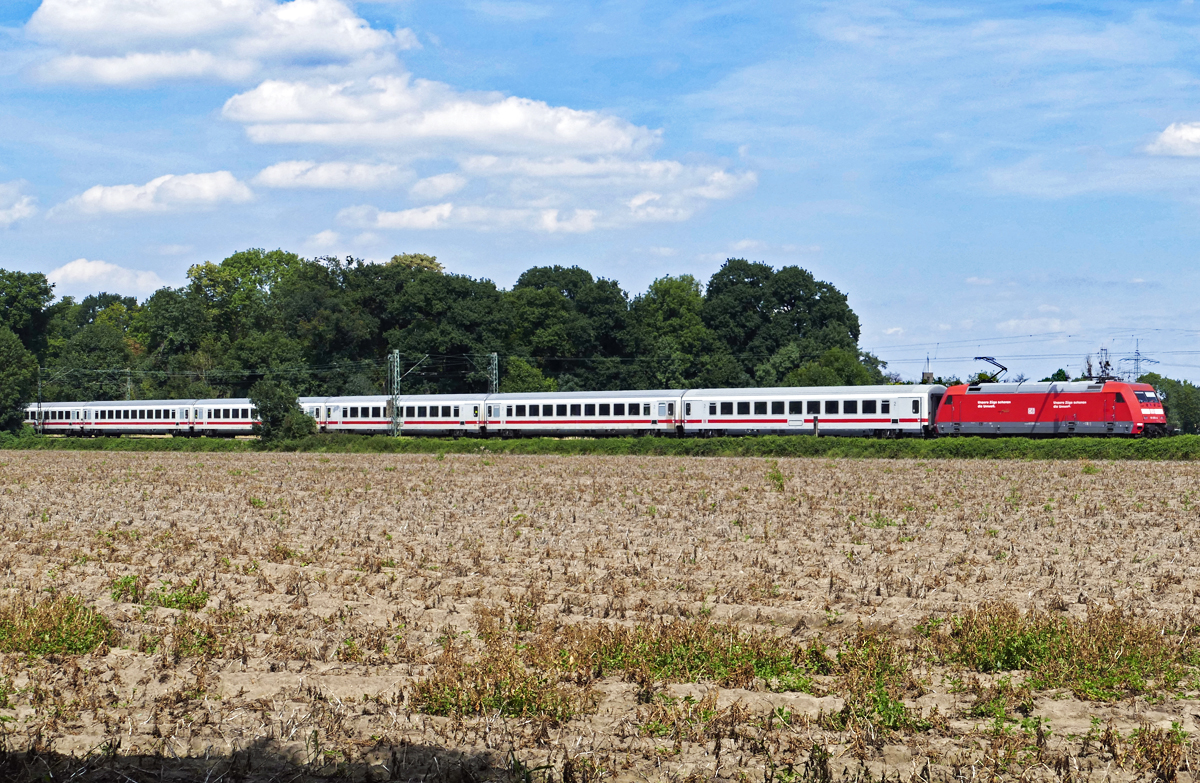 BR 101 mit EC  schießt  aus dem Wald beim Schloß Brühl in Richtung Bonn - 07.08.2017