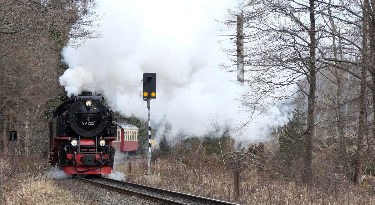 BR 99 222 der Harzer Schmalspurbahnen mit einem Personenzug bei Drei Annen Hohne auf dem Weg zum Brocken am 08.04.2022 