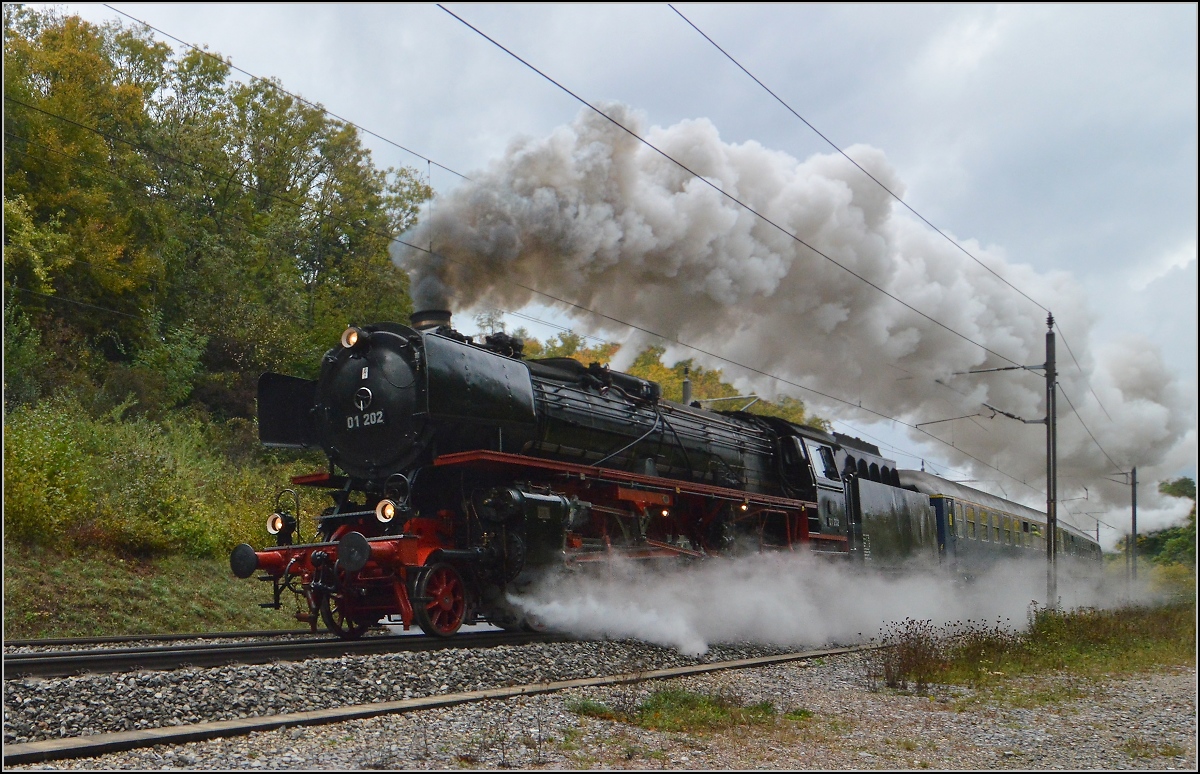 Brauereibesuch im Feldschlösschen... 

01 202 mit ihrem Zug auf Bergfahrt am Bözberg kurz vor Bözenegg. Oktober 2020. Foto G. Bank.
