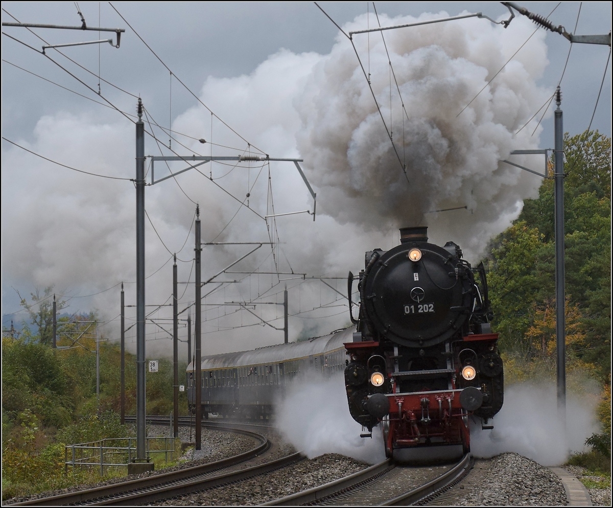 Brauereibesuch im Feldschlösschen... 

01 202 mit ihrem Zug auf Bergfahrt am Bözberg kurz vor Bözenegg. Oktober 2020. 